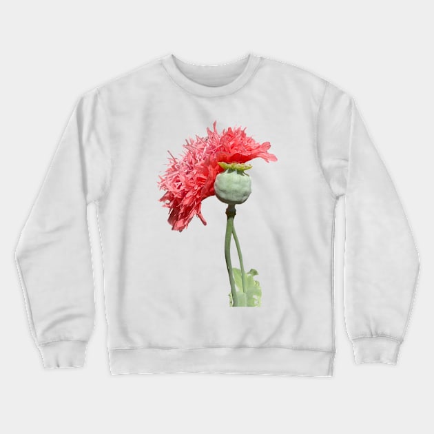 Pink Peony Poppy Flower Crewneck Sweatshirt by badlydrawnbabe